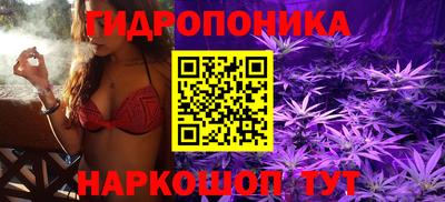 молекула духа Кандалакша