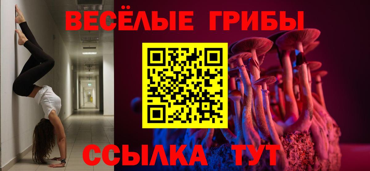 Комсомольск-на-Амуре  Псилоцибиновые грибы прущие грибы  сколько стоит  Вход с VPN 